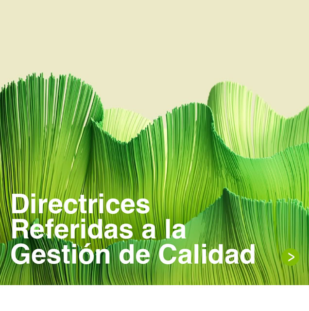 Directrices Referidas a la Gestión de Calidad