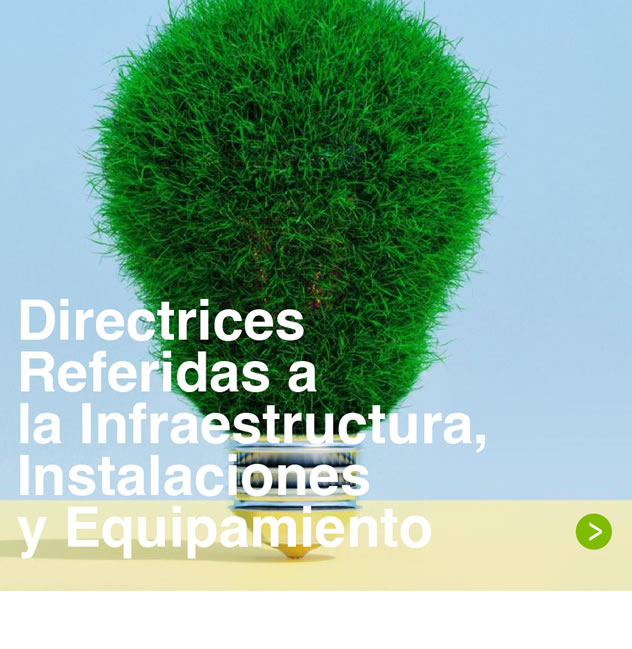 Directrices Referidas a la Infraestructura