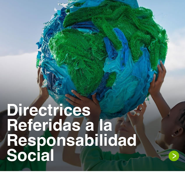 Directrices Referidas a la Responsabilidad Social